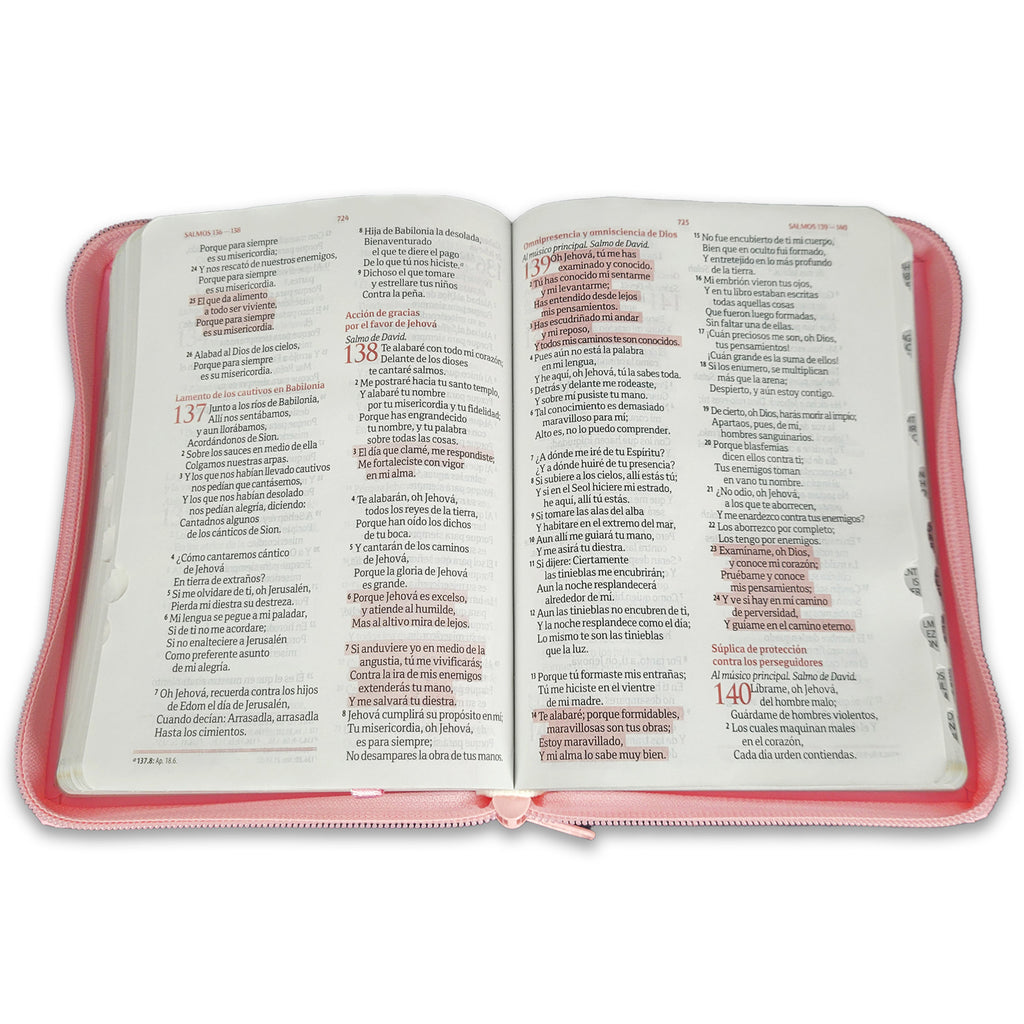 BIBLIAS PARA QUINCEAÑERAS