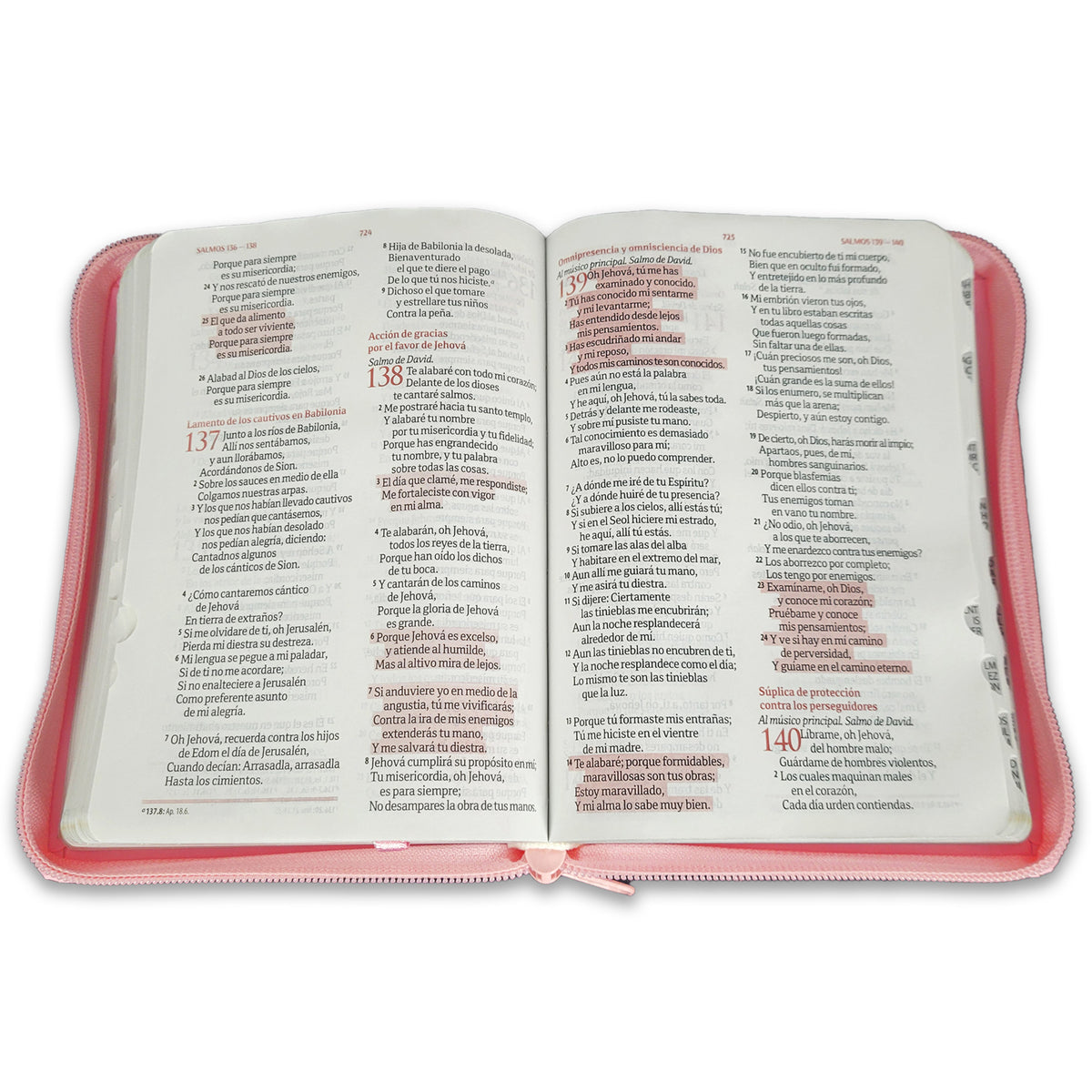 BIBLIAS PARA QUINCEAÑERAS