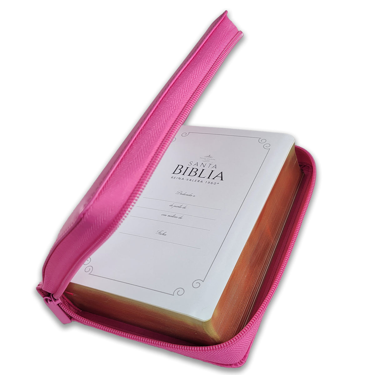 SANTA BIBLIA