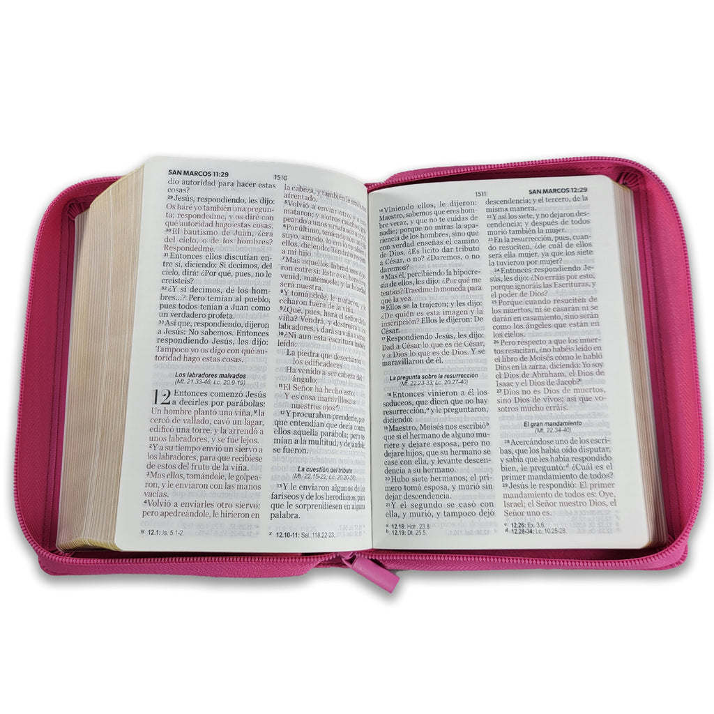 SANTA BIBLIA
