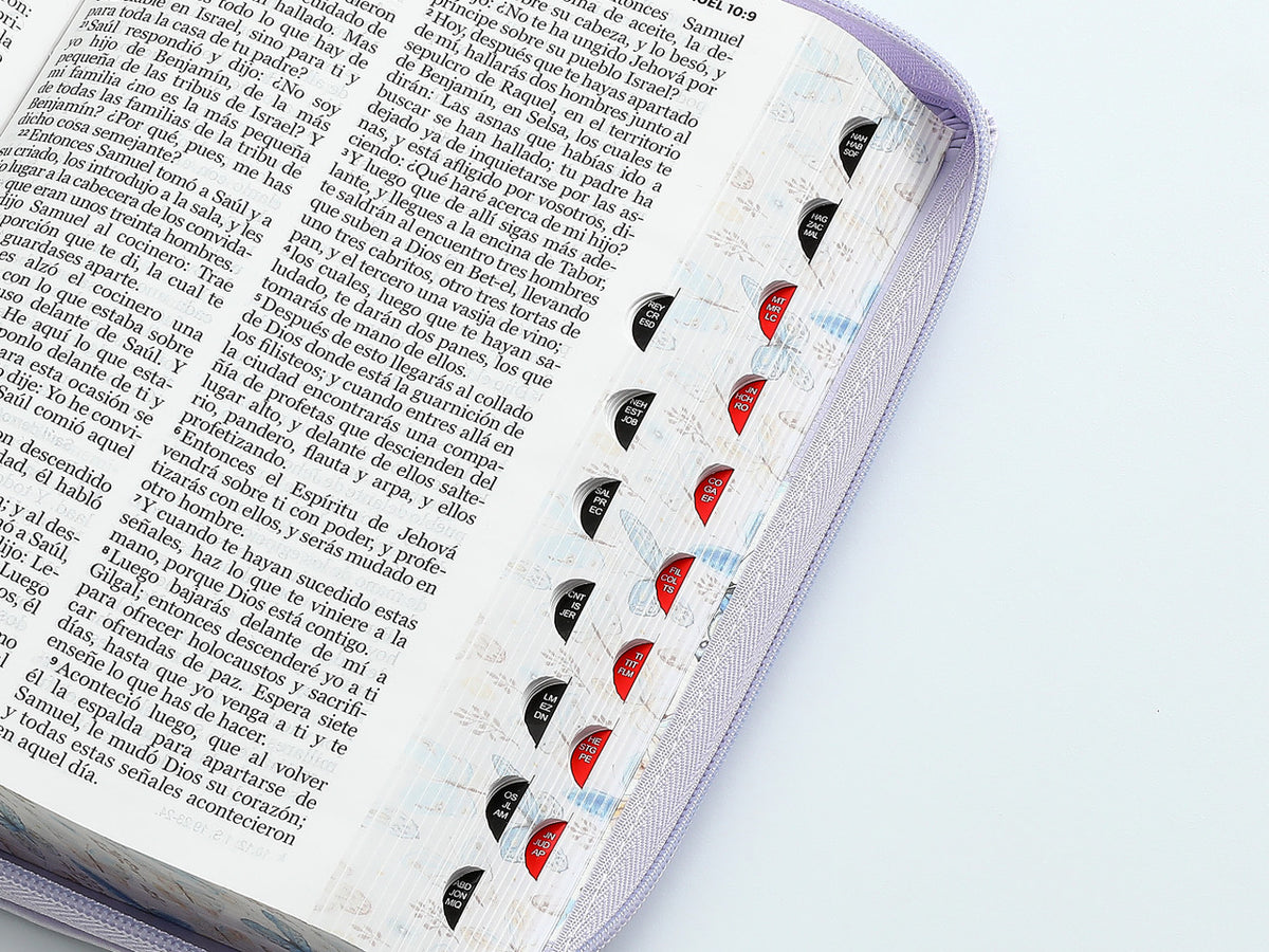 SANTA BIBLIA