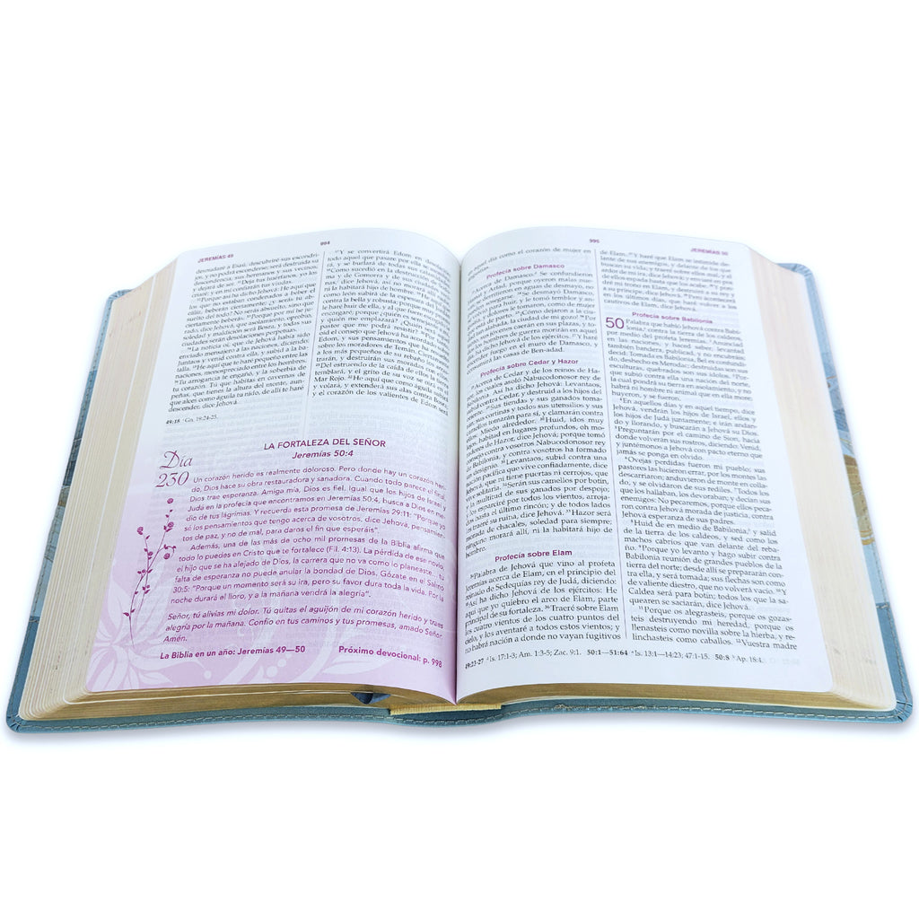 BIBLIA CONFORME AL CORAZÓN DE DIOS