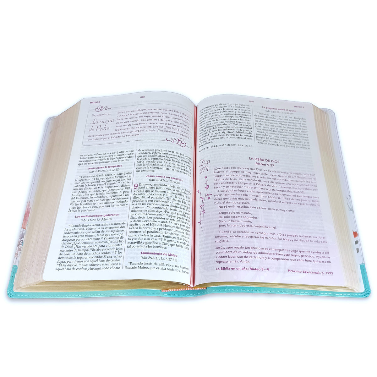 Biblia de la Mujer Conforme al Corazón de Dios
