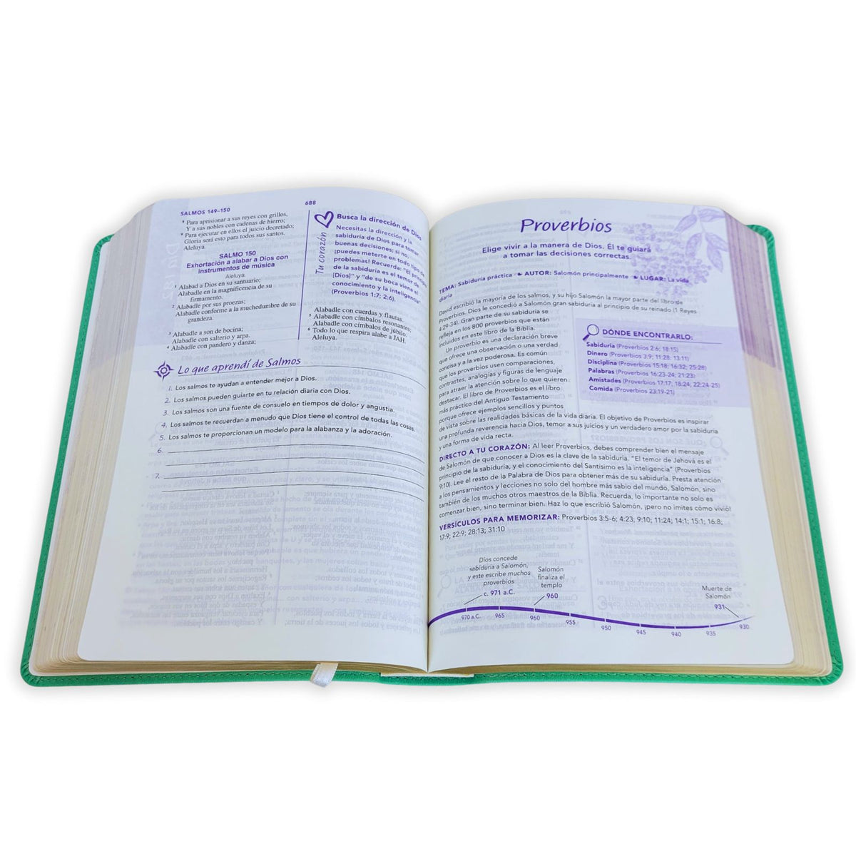 Biblia de una Joven Conforme al Corazón de Dios