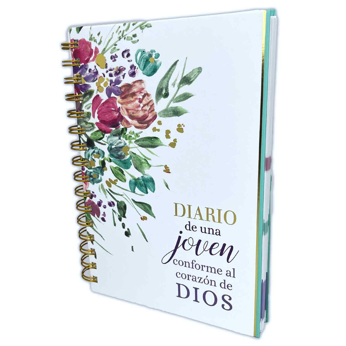 Diario de una Joven Conforme al Corazón de Dios