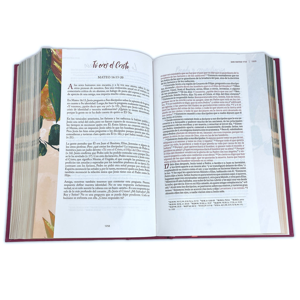 Biblia Devocional para Mujeres Centrada en Cristo