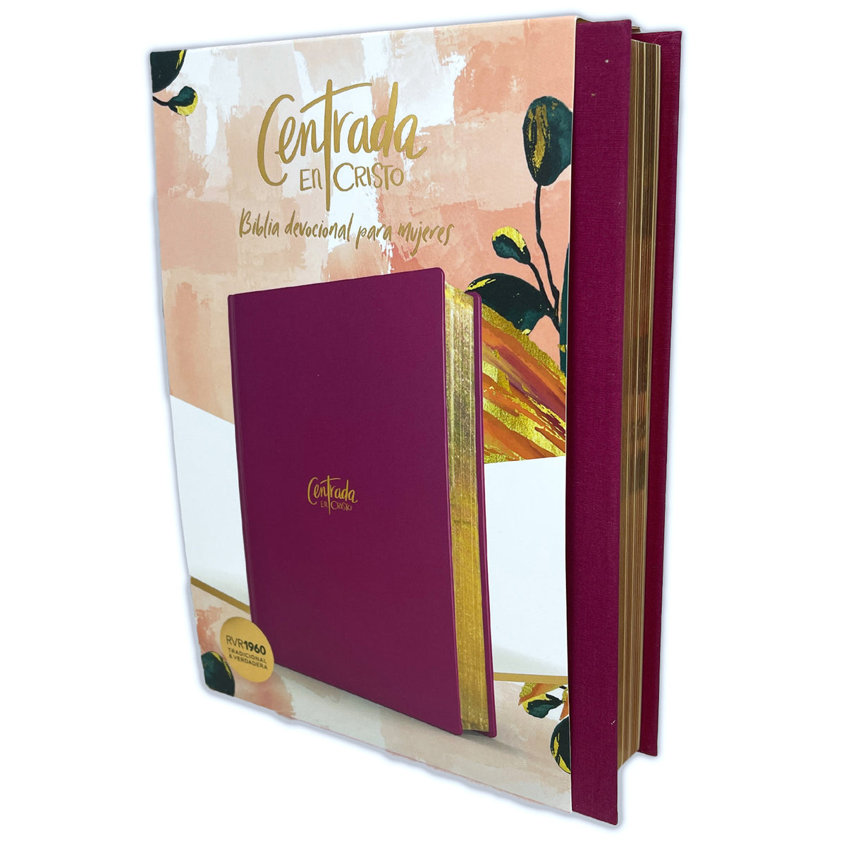 Biblia Devocional para Mujeres Centrada en Cristo