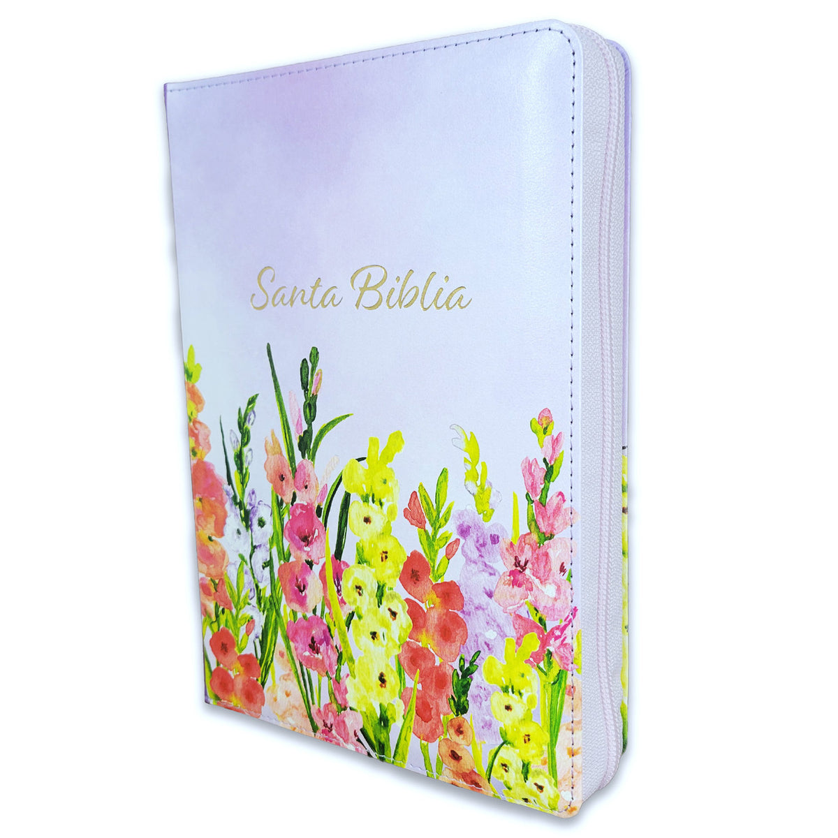 BIBLIA LETRA GIGANTE