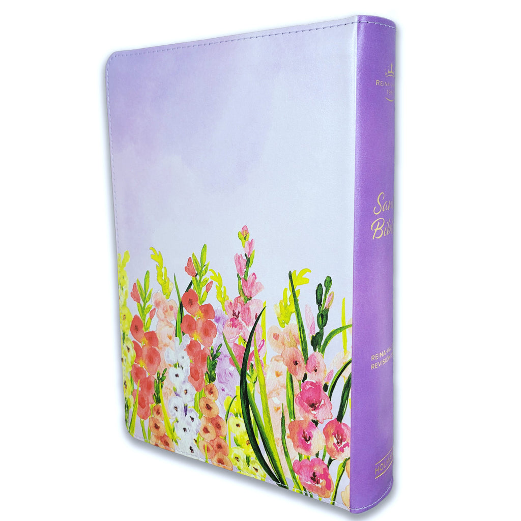 BIBLIA LETRA GIGANTE