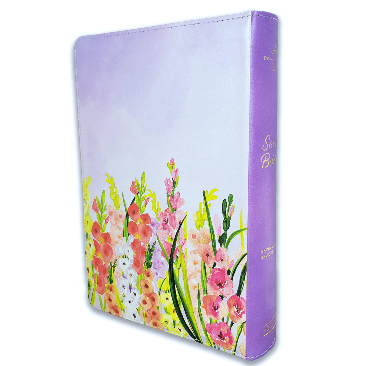 BIBLIA LETRA GIGANTE