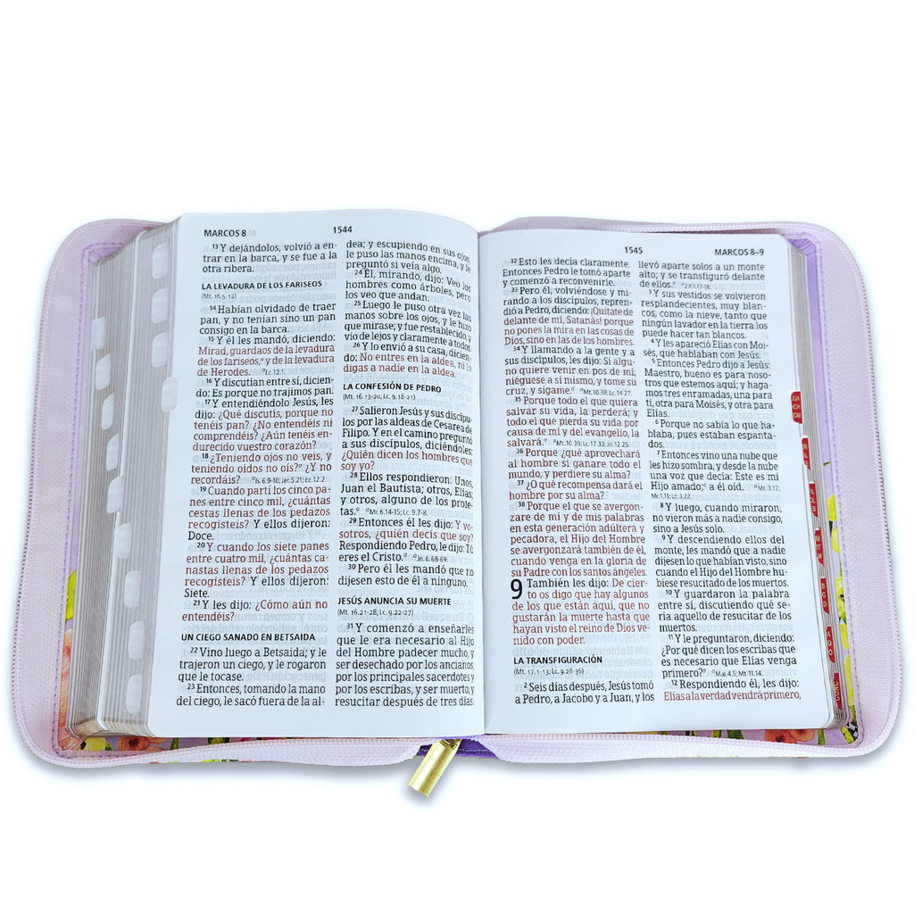 BIBLIA LETRA GIGANTE