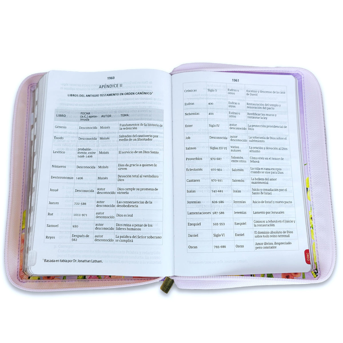 BIBLIA LETRA GIGANTE