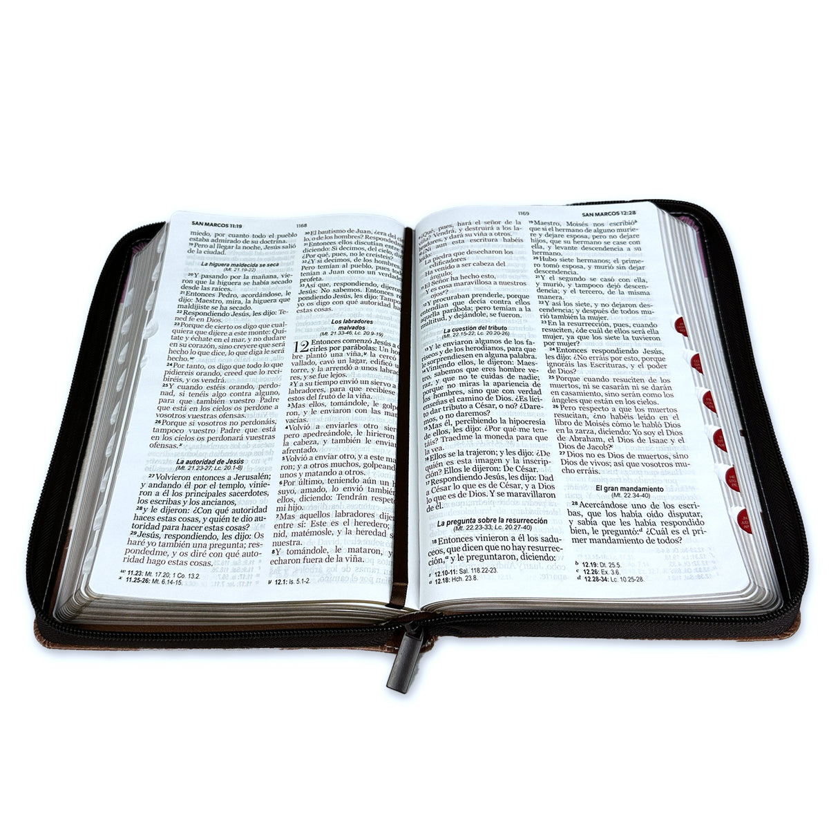 BIBLIA YO Y MI CASA