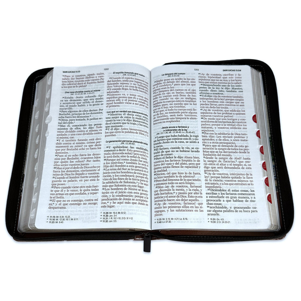 BIBLIA YO Y MI CASA