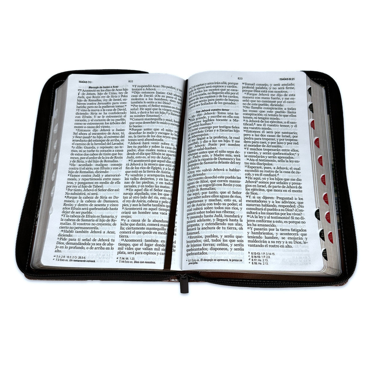 BIBLIA YO Y MI CASA