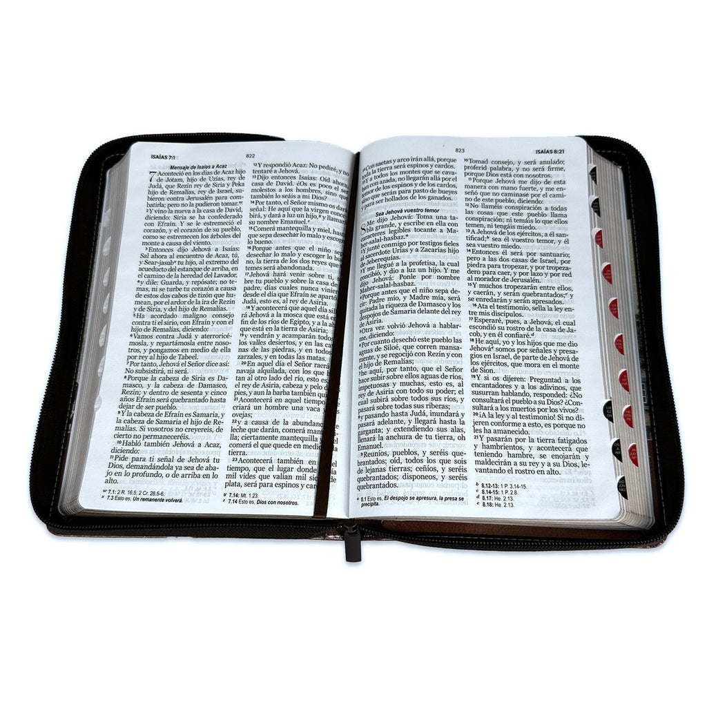 SANTA BIBLIA