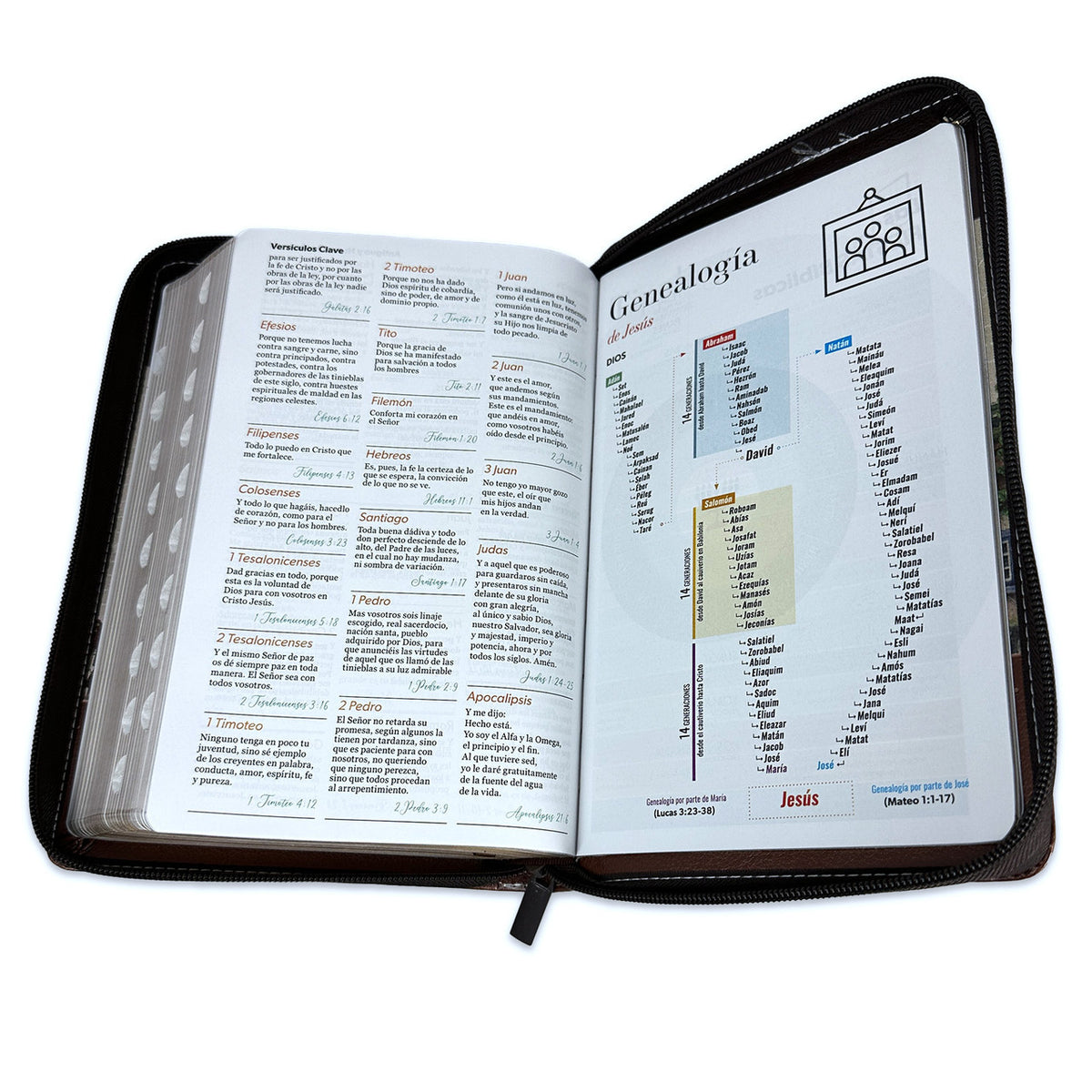 BIBLIA YO Y MI CASA