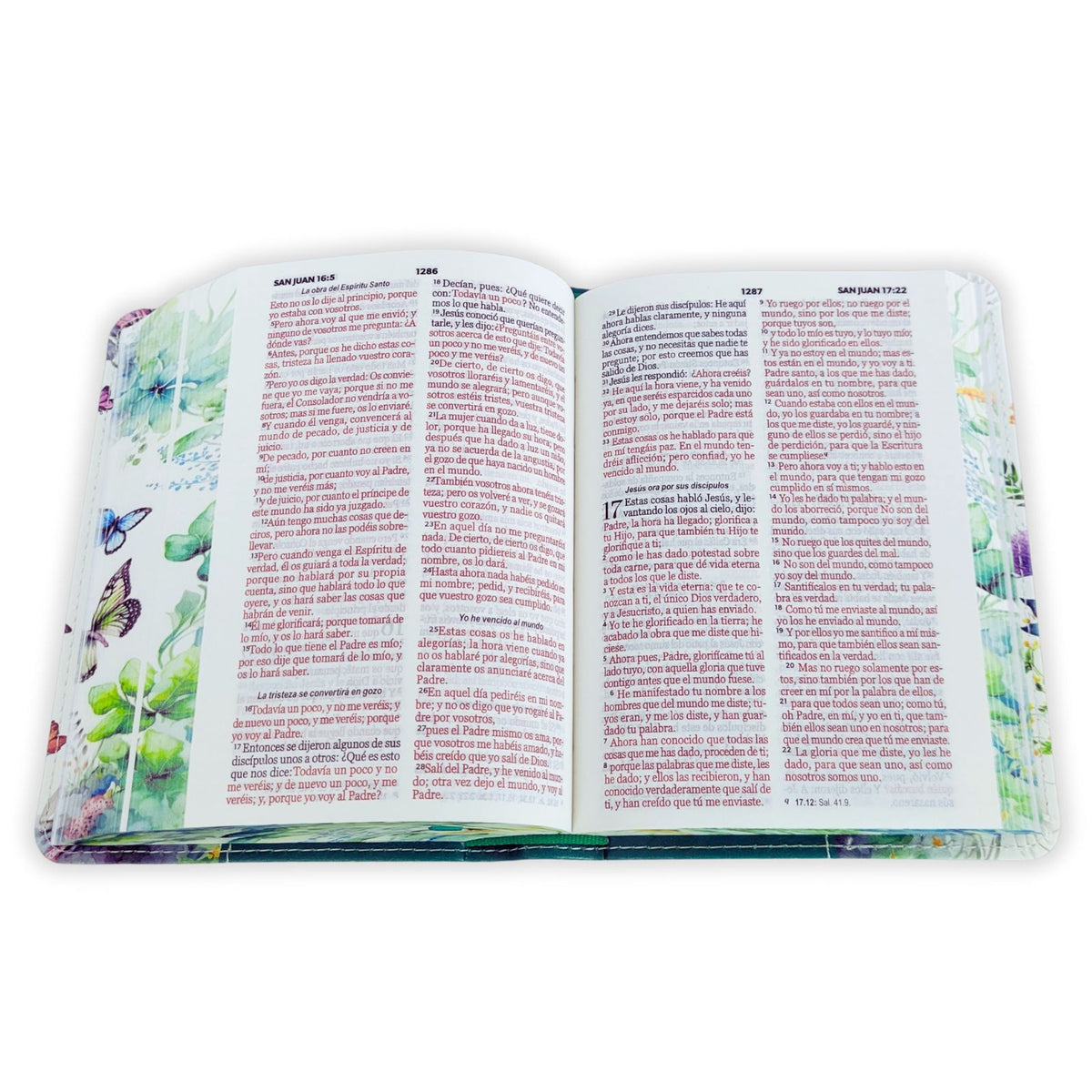 Biblia de Bolsillo