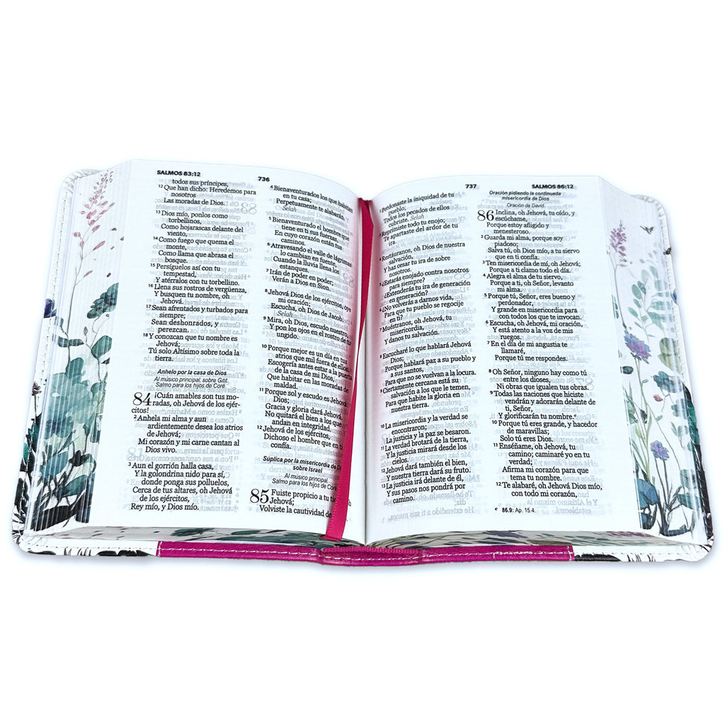 Biblia de Bolsillo