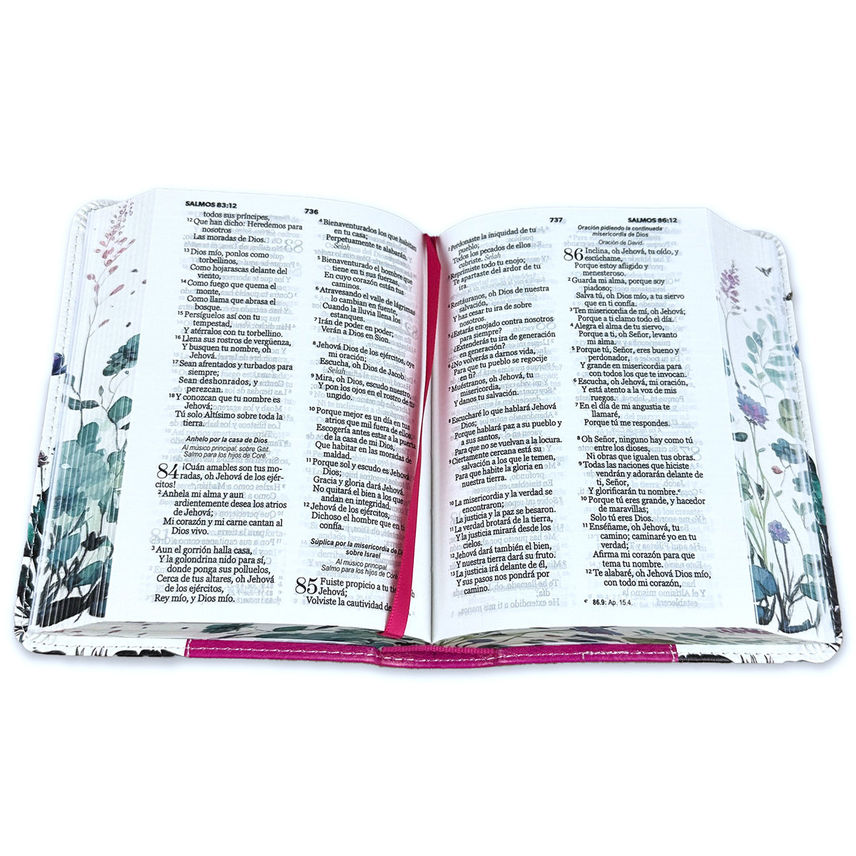Biblia de Bolsillo