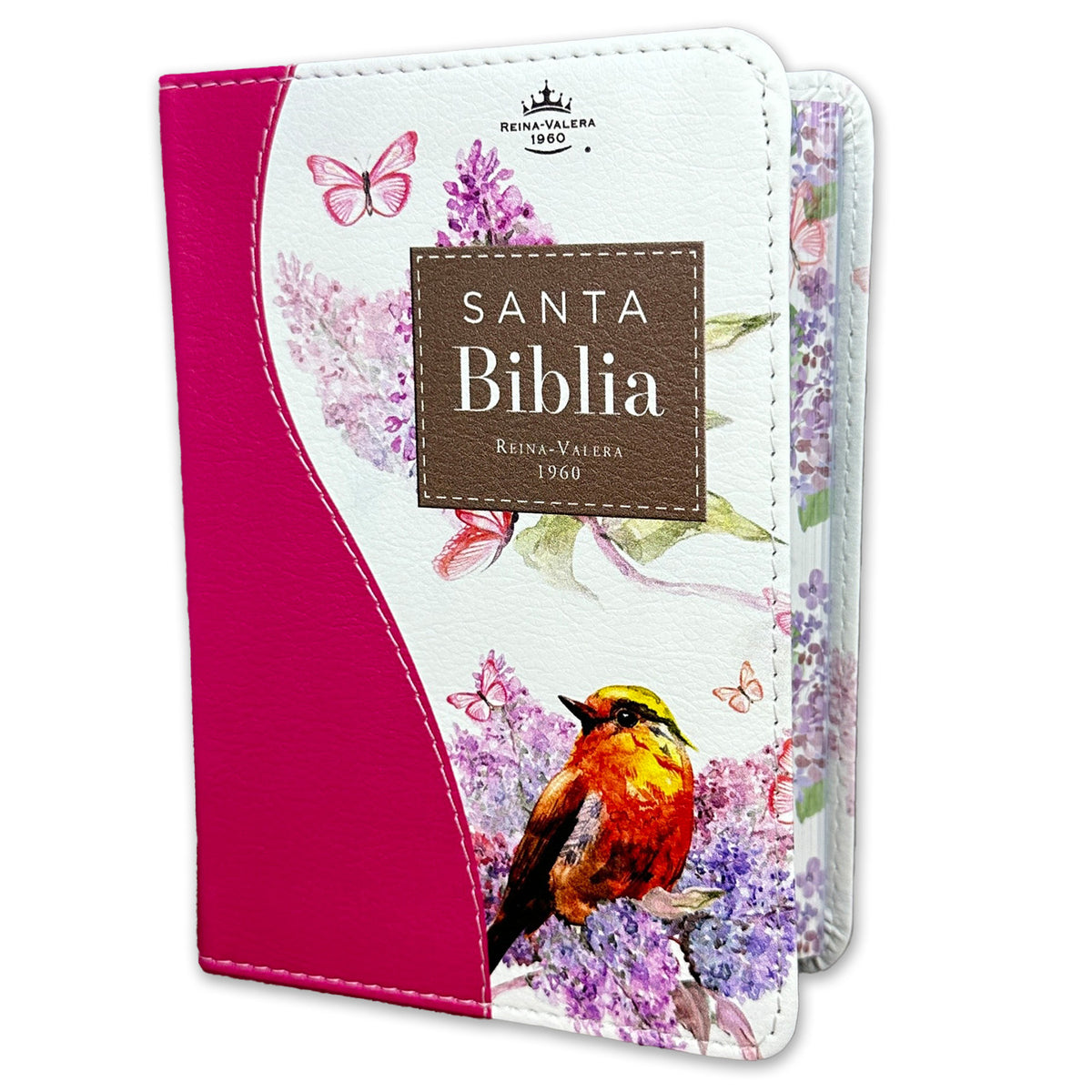 Biblia de Bolsillo