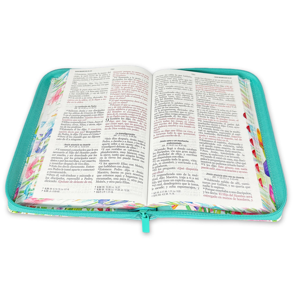 SANTA BIBLIA
