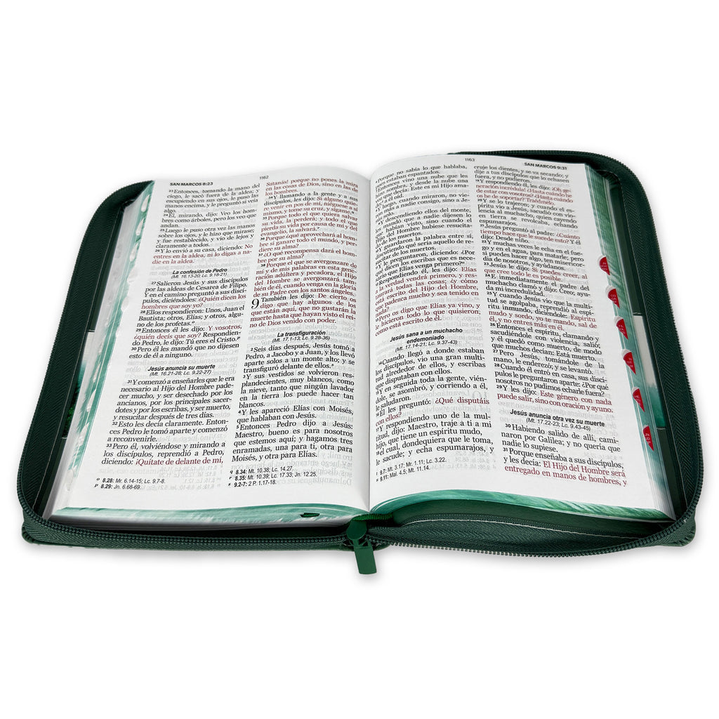 SANTA BIBLIA