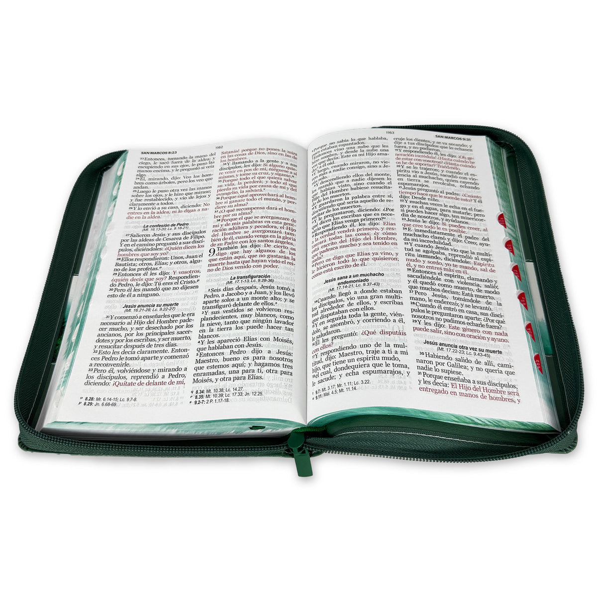 SANTA BIBLIA