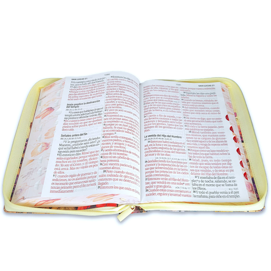 BIBLIA PARA MUJER