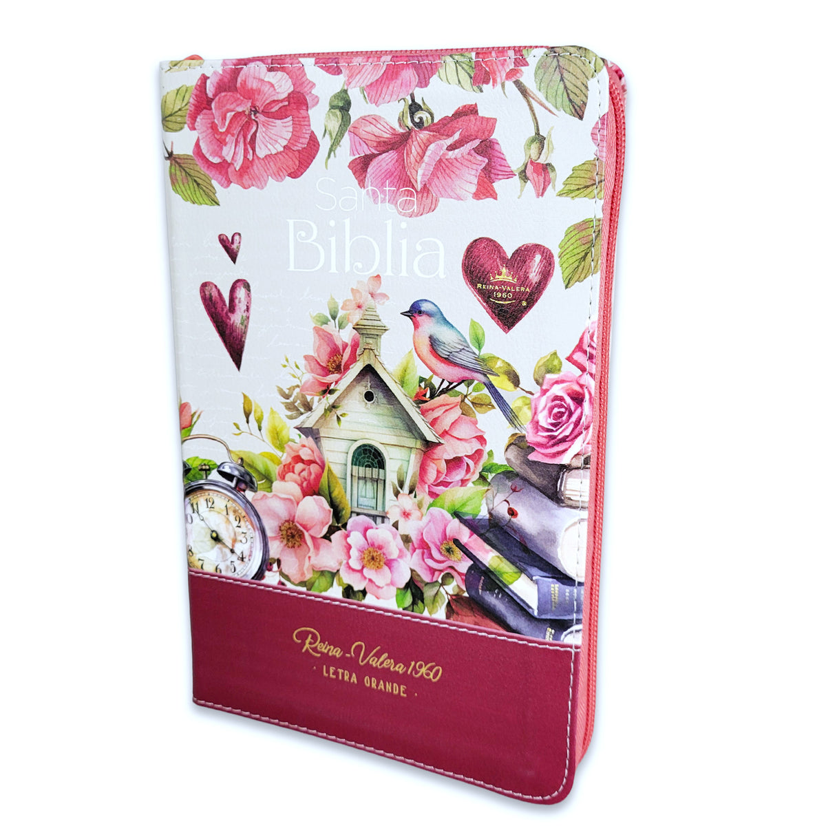 BIBLIA YO Y MI CASA