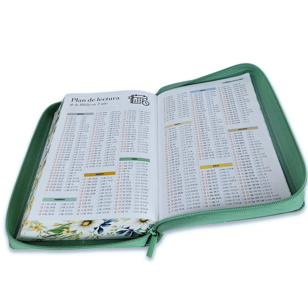 BIBLIA LETRA GIGANTE