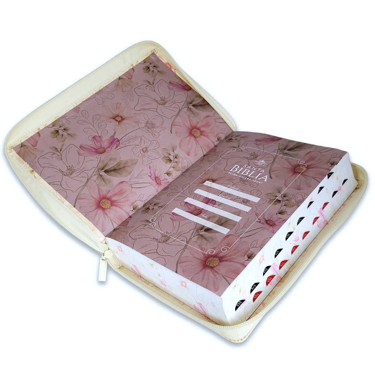 Biblia para mujeres