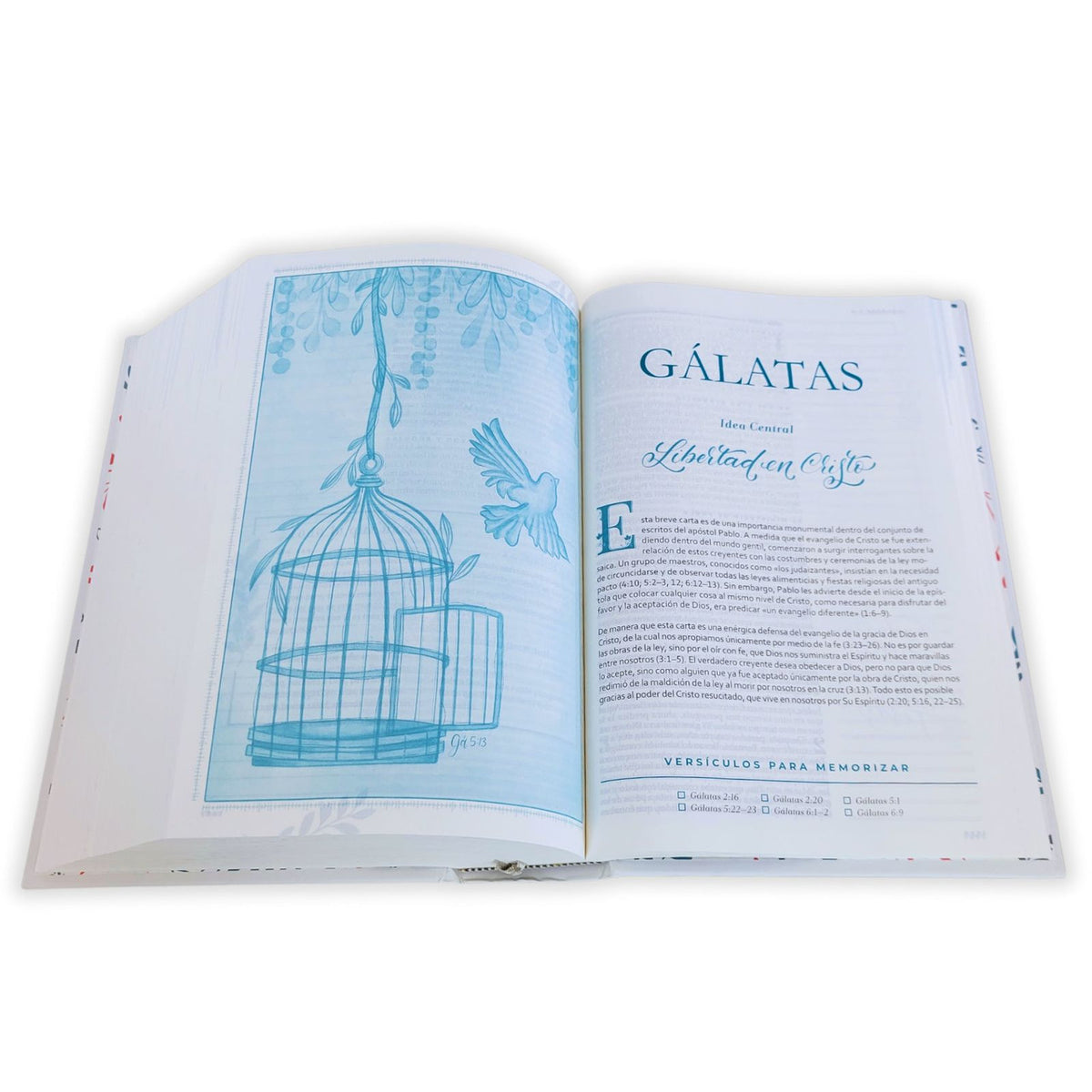 Biblia Devocional Mujer Verdadera